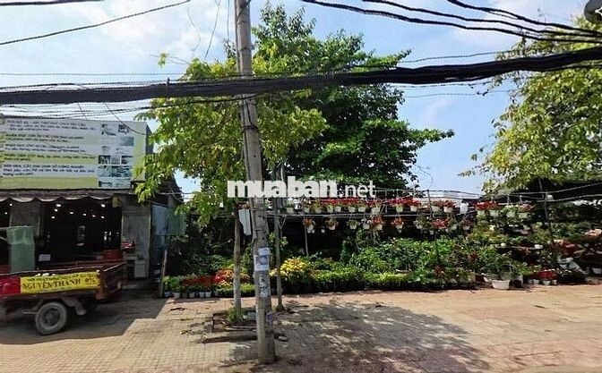 Bán đất quy hoạch xây chung cư cao tầng tại Biên Hòa, Đồng Nai