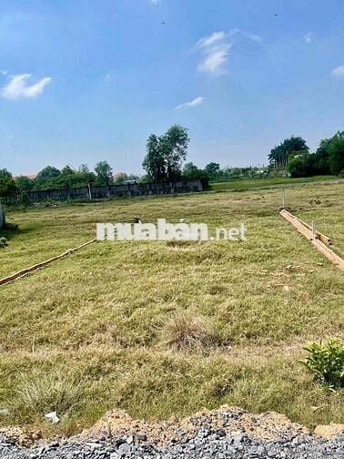 8X17 TẠI LÊ THỊ VUI. PHƯỚC HIỆP. GIÁ RẺ CHO KHÁCH TÀI CHÍNH THẤP. SHR