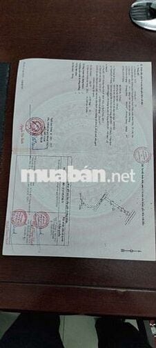 Bán nhà đất đối diện công viên nhật bản khu Stella
