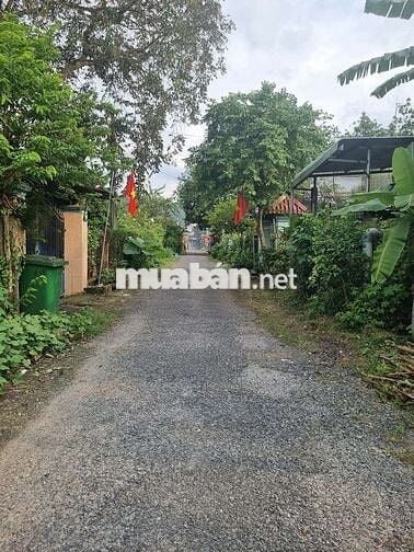 Chính chủ cần bán gấp miếng đất tp