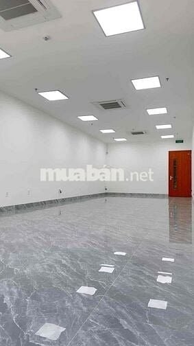 🔴(NCC) CHO THUÊ NHÀ 7 TẦNG MẶT TIỀN XUÂN THUỶ, GẦN XÔ VIẾT NGHỆ TĨNH