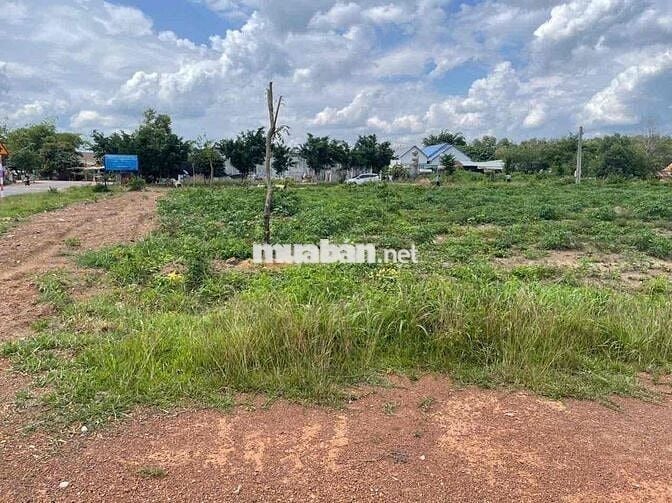 Cần bán lô đất vườn 20x52 hơn 1000m2 bán 290 triệu