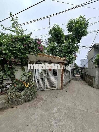 Bán Nhanh,Phụng Châu, lô Góc, ô tô đậu ngõ,120m,4.8tỷ