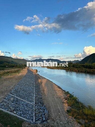 chào bán lô đất trồng cây diện tích 4600m đường 7m5