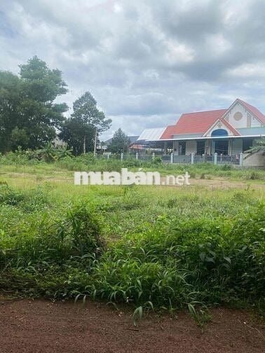cần bán lô đất dt 30.34 hơn 1000m2 ngay tuyến 2 mặt tiền 29M
