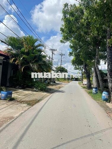 Cần Bán gấp 100m2 giá 1ty650 full thổ shr