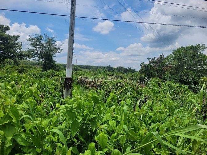 CTY ĐẤU GIÁ HỢP DANH TRỰC TUYẾN VIỆT NAM (VNOA) TỔ CHỨC ĐẤU GIÁ