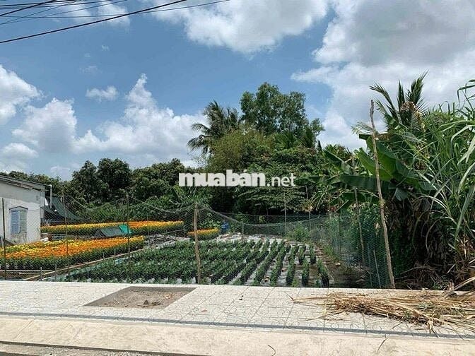 nền biệt thự 10x25 bờ kè Cái Sơn- Mương Khai lộ 14m giá 7,5 tỷ