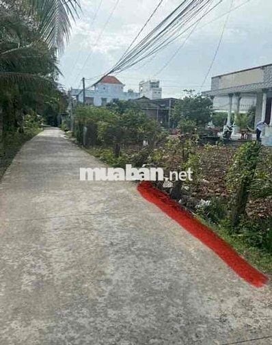 Ấp 7 Nhựt Chánh, Bến Lức ,Long An
