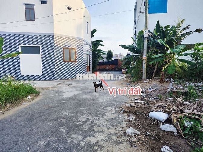 🆘🆘 123m2 ĐẤT THỔ CƯ HẺM ĐƯỜNG NHỰA XE HƠI TỚI ĐẤT