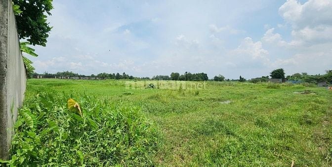 Chính chủ bán đất DT 2967m2 Đông Thạnh 2-Huỳnh Thị Na, Hóc Môn, TPHCM