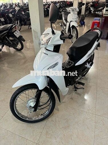 wave 2023