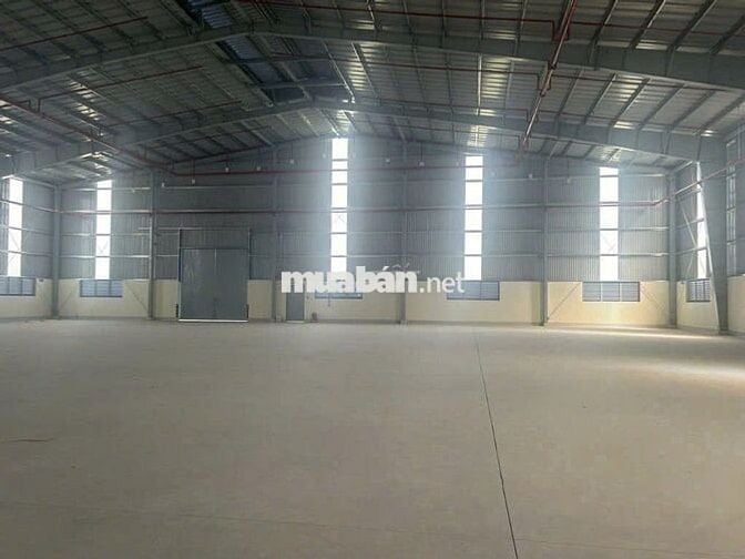 Cho thuê kho xưởng 3.300m² trong KCN Tây Ninh, PCCC tự động, công 24h