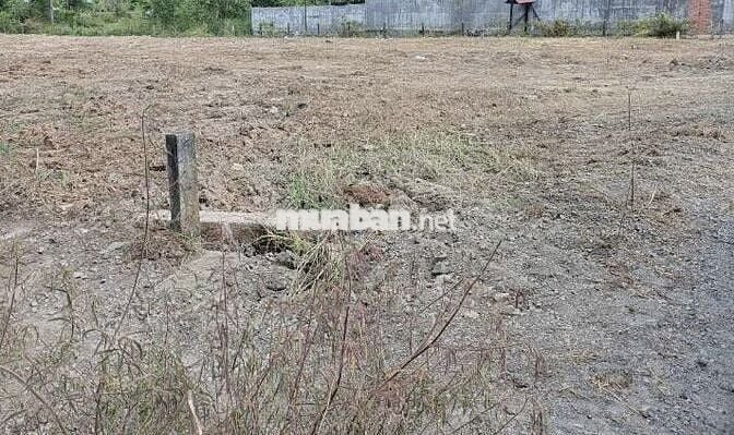 Bán đất giá rẻ DT 3311m2 có thổ cư xã Châu Pha, TX Phú Mỹ, BRVT