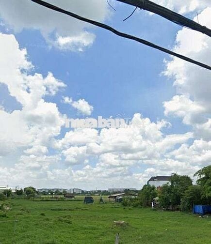 Bán đất đi nước ngoài SHR Nguyễn Văn Trà,Vĩnh Lộc B ,Bình Chánh 995tr