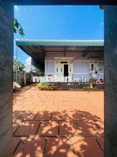 QUÁ RẺ NHÀ HẺM 442 YMON PHƯỜNG BUÔN MA THUỘC