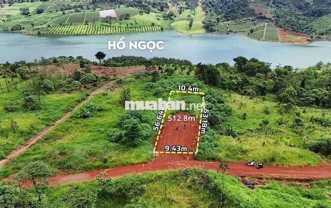 View Hồ Ngọc Lộc Tân sẵn thổ cư