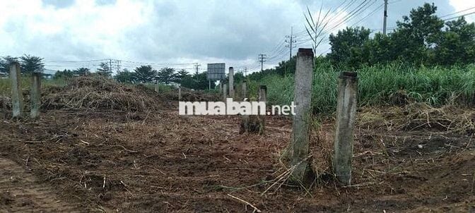 Nhận xây theo yêu cầu, cho thuê kho xưởng , trong KCN Tân Đô ,Tây Ninh
