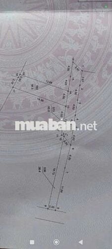 💥 CẦN TIỀN BÁN GẤP 👉 56,5m CHƯƠNG DƯƠNG - THƯỜNG TÍN 
** Diện tích: