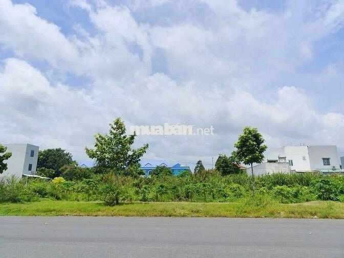 Cần bán đất Đ. Phạm Cự Lượng, Mỹ Quý, Long xuyên, An Giang, 10m2/550tr