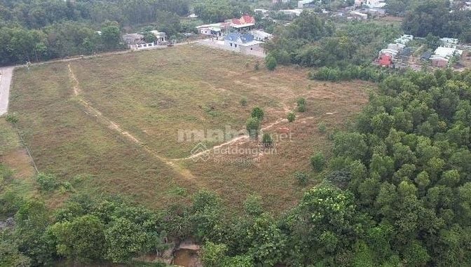 Bán đất giá rẻ DT 3311m2 có thổ cư xã Châu Pha, TX Phú Mỹ, BRVT