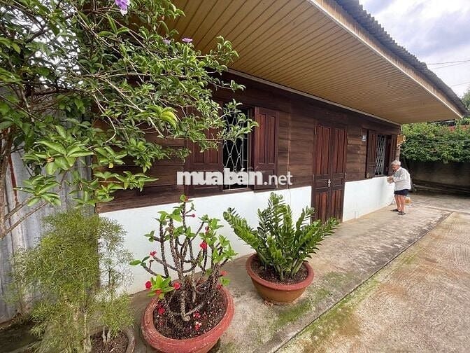 Nhà thổ cư 369m² Phan Chu Trinh – Lộc Tiến, gần Nhà thờ Tân Hà, 3.2 tỷ