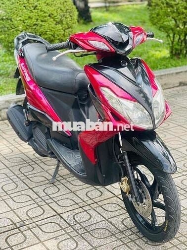 luvias Fi biển tp