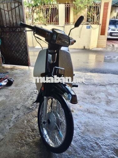 Xe Dream việt