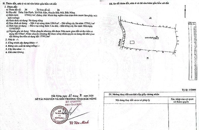 Bán đất ở nông thôn và trồng cây lâu năm 
