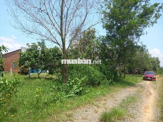 Bán gấp 1685m2 (300m2 thổ cư), Định Quán, Đồng Nai, sổ hồng riêng