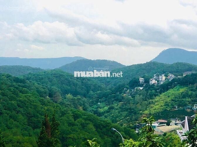 Đất nền có vị trí tại Đường Khe Sanh, Phường 10, Đà Lạt, Lâm Đồng.