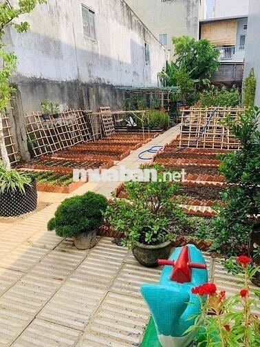Bán Đất Tặng Vườn Rau Sạch Ngay Đường Linh Đông-Thủ Đức Bao Đẹp