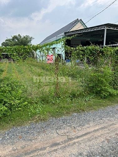 275m2 có thổ cư. ngang 6m. Nở hậu. Gần trường học. 450tr 