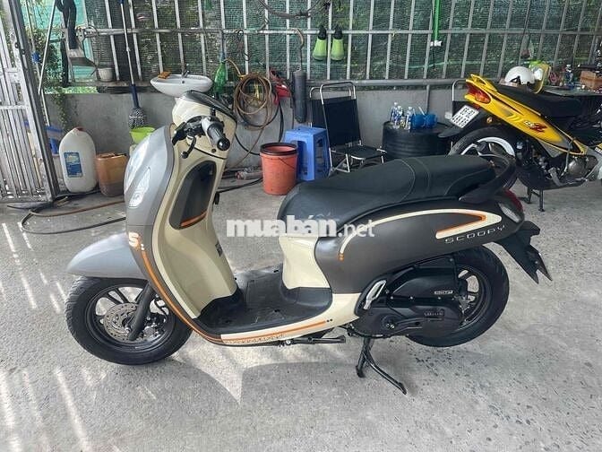 scoopy 2023