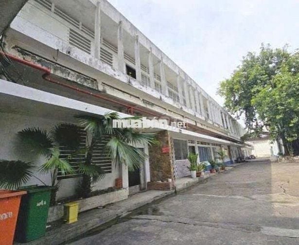 Kho đẹp cần cho thuê gấp ở Tôn Thất Thuyết diện tích 250m2 đường cont