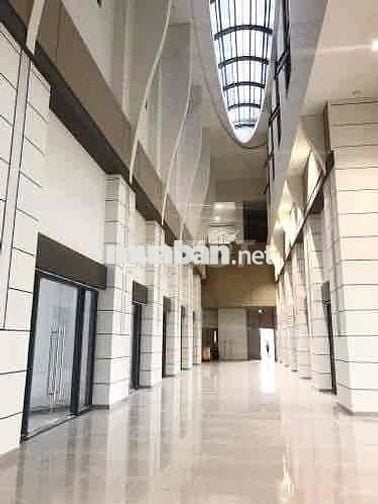 CH ASIANA CAPELLA MỚI, CÓ THANG MÁY - TRẦN VĂN KIỂU -  8.4X9.5 (67M2)