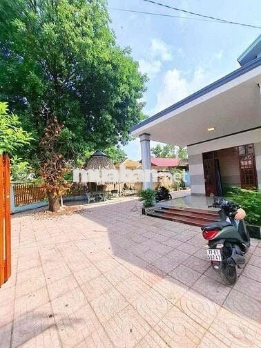 cho thuê nha nguyen can sân vườn rộng rãi d xe hơi 🚗