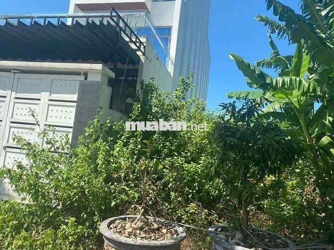 🔥BÁN LÔ ĐẤT PHAN HUỲNH ĐIỂU – GẦN NGUYỄN PHƯỚC LAN - SỔ VUÔNG VỨC