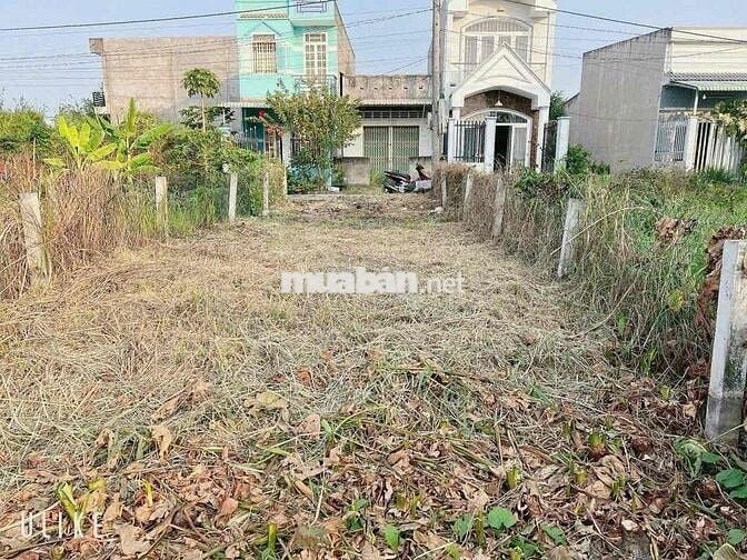 82m2 thổ cư tại Mỹ Lộc Cần giuộc đường xe hơi cách nhựa 100m