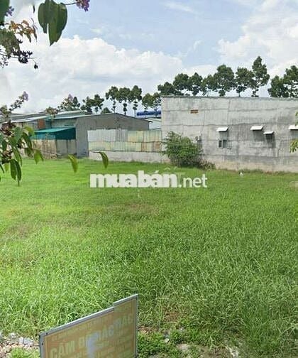 Đất đẹp giá hời 818tr SHR Mt đường Hàn Thuyên, Vĩnh Lộc B, Bình Chánh