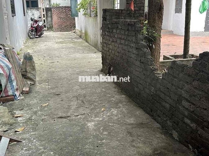 🚨 BÁN ĐẤT PHỐ YÊN – TIỀN PHONG, MÊ LINH 🚨  📐 Diện tích: 61m2 full thổ