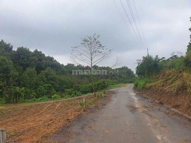 Lô đất mặt tiền đường chính Thôn 5, Tân Lạc sẵn thổ cư - giá rẻ