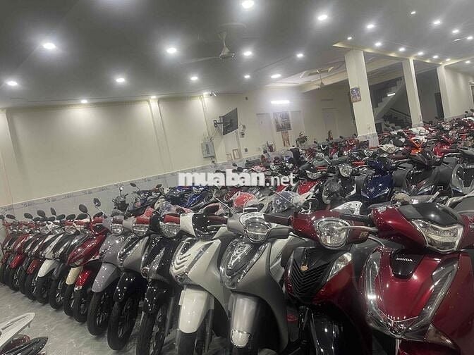 Xe đẹp rất nhiều