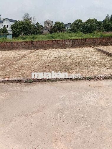 Bán Đất - Lập Trí (Minh Trí) - 81M2 Full Thổ Cư - 1,65 Tỷ
