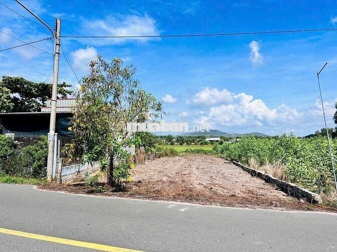 CHỦ KẸT TIỀN THANH LÝ NHANH LÔ ĐẤT ĐỐI DIỆN TRƯỜNG HỌC
