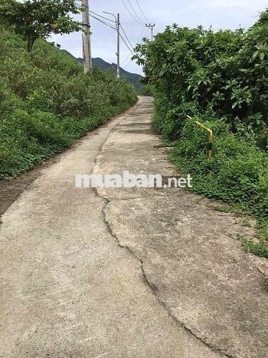 3 mảnh đất sổ đỏ Hoà Bắc, Hoà Vang, Đà Nẵng