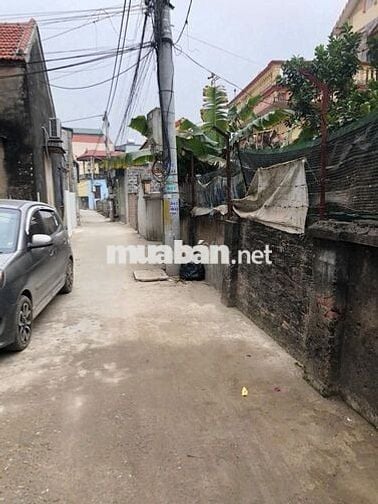 🔥 CẦN BÁN GẤP ĐẤT THƯỜNG TÍN – HÀ NỘI 🔥