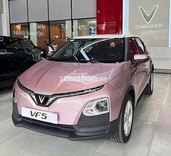 VinFast VF5 2025