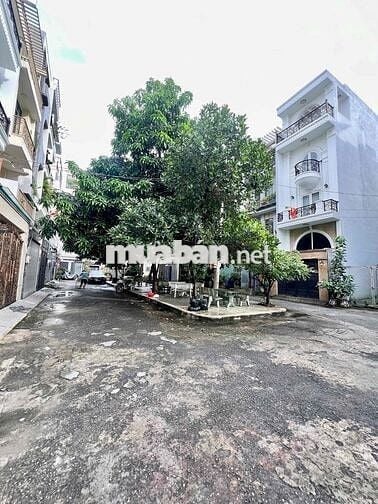 Cho Thuê Nhà Mới DT 250m2 1Trệt 1Lửng 3Lầu 5Pn 3Wc Hẻm 12m Cây Xanh
