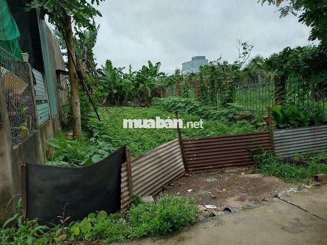 Đất 100m² thổ cư, Hẻm đối diện THPT Ngô Quyền, ô tô vào tận nơi